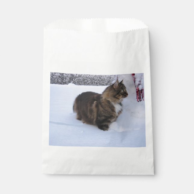 norwegian forest cat in snow favor bag (Front)