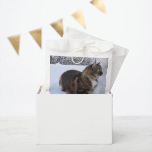 norwegian forest cat in snow favor bag