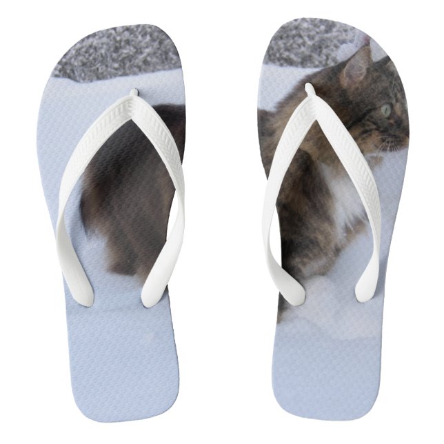 norwegian forest cat in snow flip flops (Footbed)