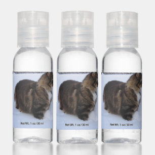 norwegian forest cat in snow hand sanitizer
