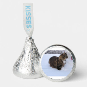 norwegian forest cat in snow hershey®'s kisses®