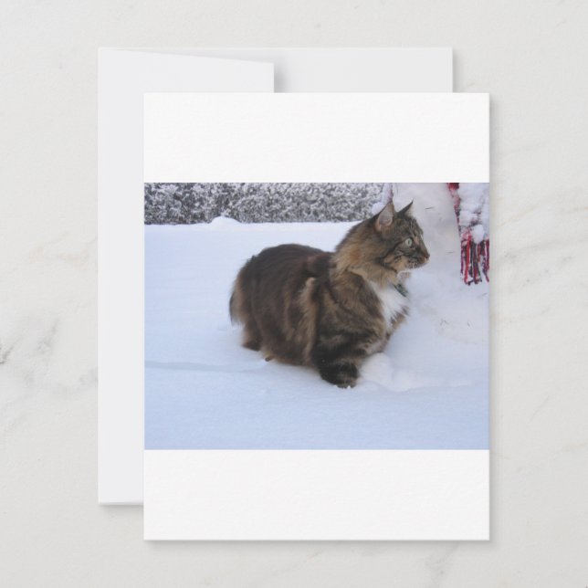 norwegian forest cat in snow holiday card (Front)