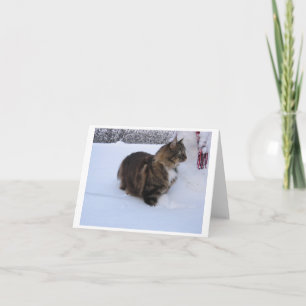 norwegian forest cat in snow holiday card