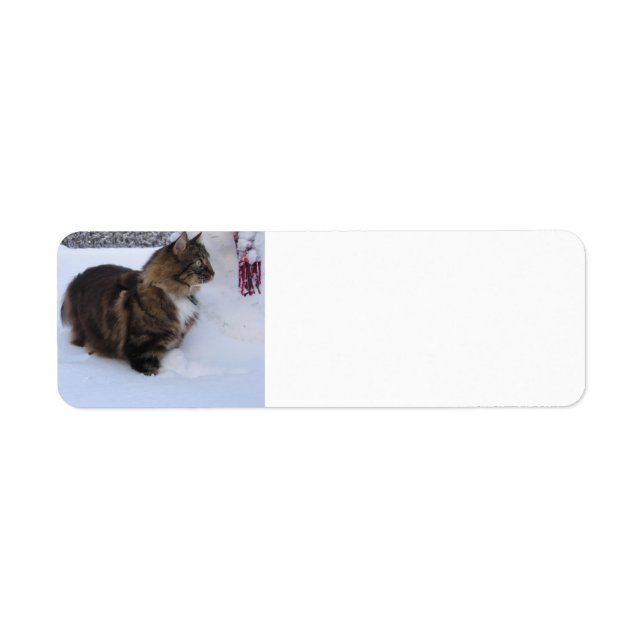 norwegian forest cat in snow label (Front)