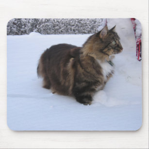 Norwegian forest cat in snow mouse pad