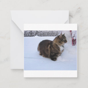 norwegian forest cat in snow note card