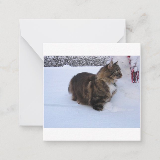 norwegian forest cat in snow note card (Front)