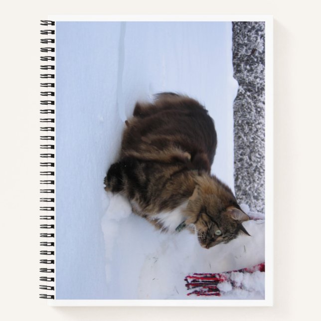 norwegian forest cat in snow notebook (Front)