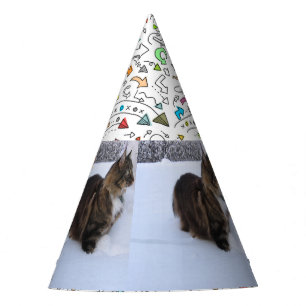 norwegian forest cat in snow party hat