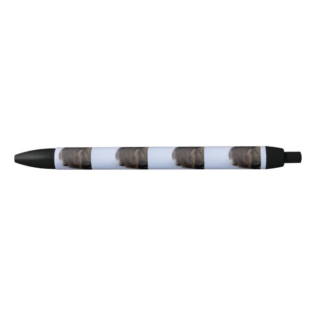 norwegian forest cat in snow pen (Front)