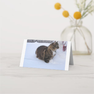 Norwegian Forest Cat in snow Place Card