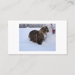 norwegian forest cat in snow referral card