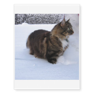 norwegian forest cat in snow temporary tattoos