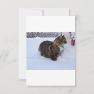 norwegian forest cat in snow thank you card
