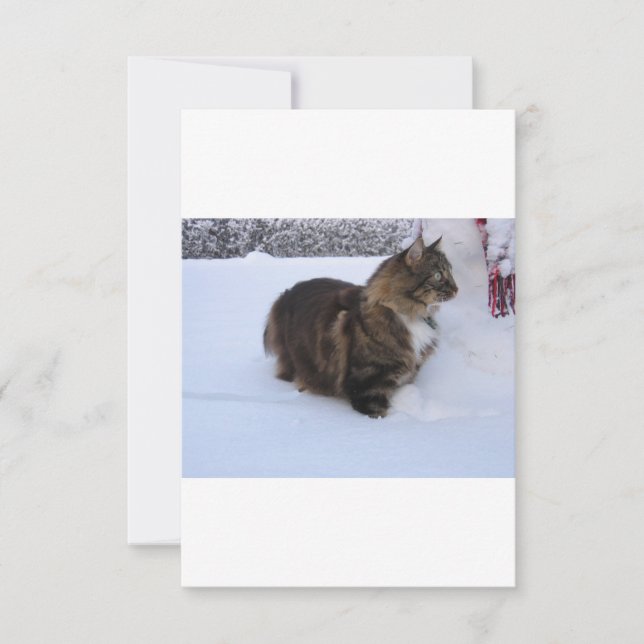 norwegian forest cat in snow thank you card (Front)