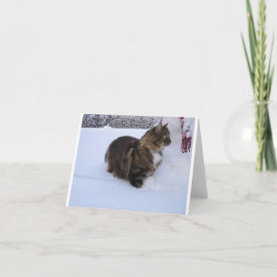 norwegian forest cat in snow thank you card