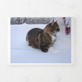 norwegian forest cat in snow Tri-Fold card (Cover)