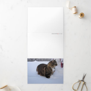 norwegian forest cat in snow Tri-Fold holiday card