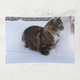 norwegian forest cat in snow trinket tray
