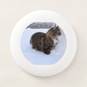 norwegian forest cat in snow Wham-O frisbee