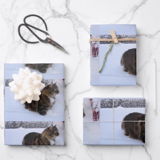 norwegian forest cat in snow wrapping paper sheets (Front)