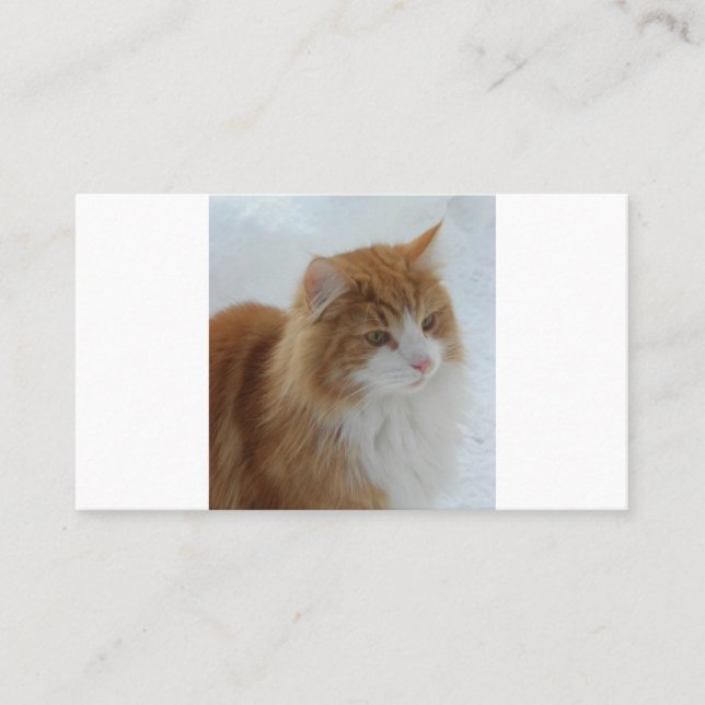 Norwegian_Forest_Cat Loyalty Card (Front)