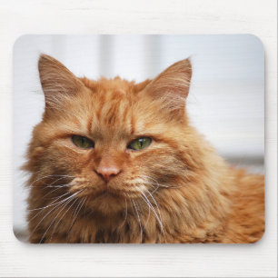 Norwegian Forest Cat Mousepad