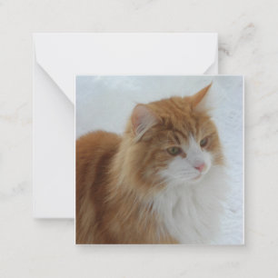 Norwegian_Forest_Cat Note Card