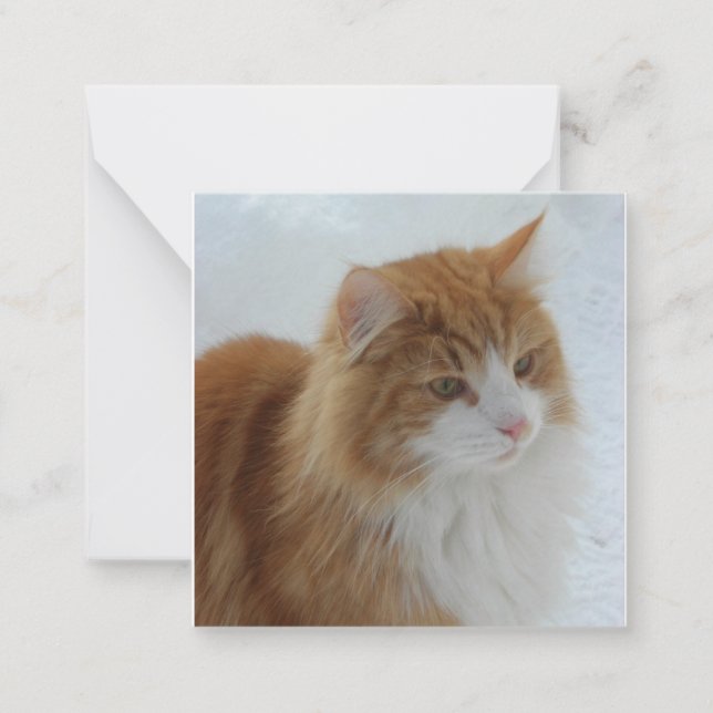 Norwegian_Forest_Cat Note Card (Front)