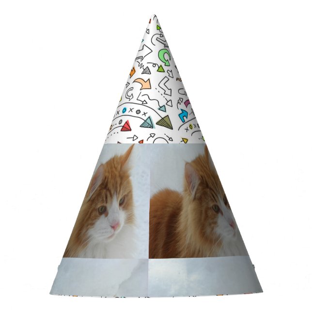 Norwegian_Forest_Cat Party Hat (Front)