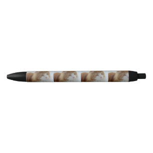 Norwegian_Forest_Cat Pen