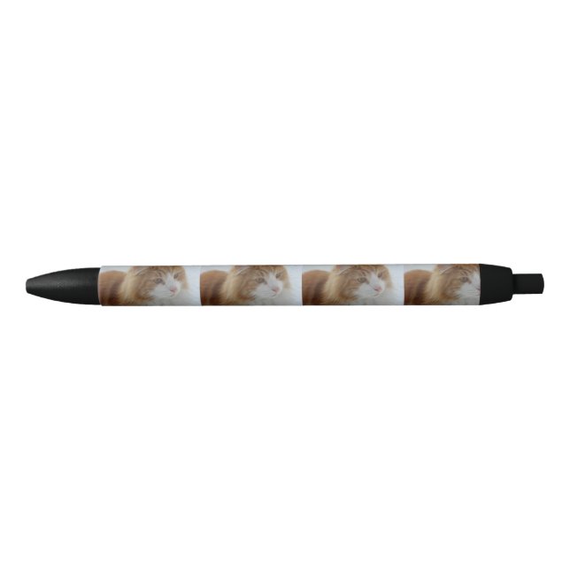 Norwegian_Forest_Cat Pen (Front)