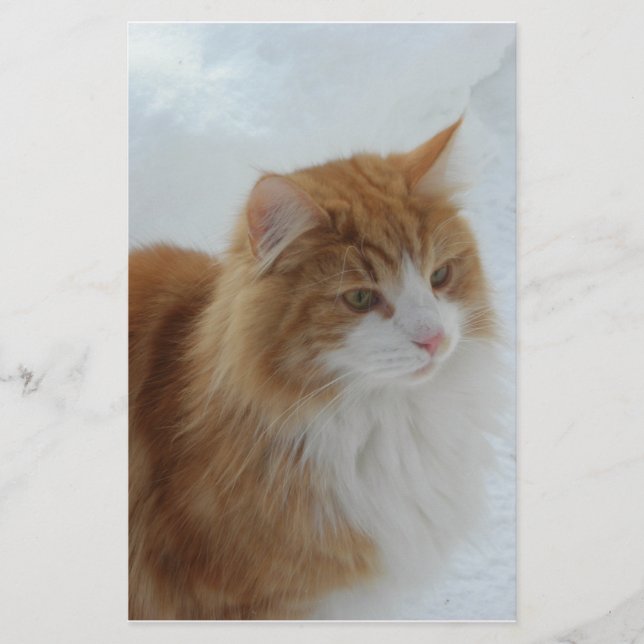 Norwegian_Forest_Cat Stationery (Front)