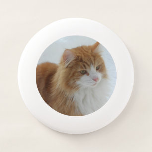 Norwegian_Forest_Cat Wham-O Frisbee