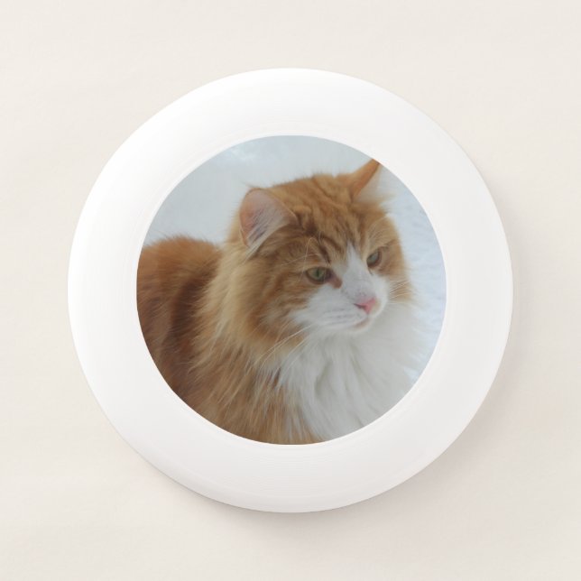 Norwegian_Forest_Cat Wham-O Frisbee (Front)