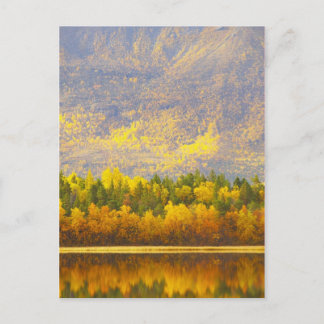 Norwegian Lapland in the autumn colors Postcard