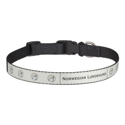 Norwegian Lundehund Painting _ Original Dog Art Pet Collar