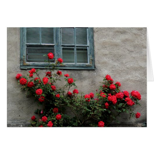Norwegian Roses Cards (Front Horizontal)