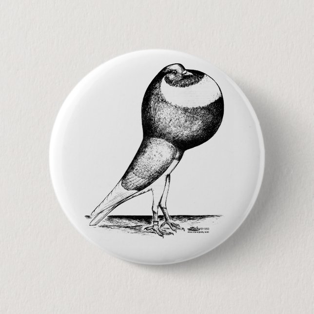 Norwich Cropper Pigeon 1980 Button (Front)