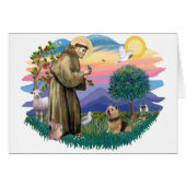 Norwich Terrier (Front Horizontal)