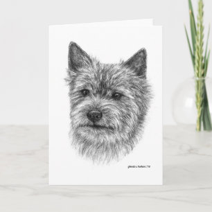 Norwich Terrier Art by Glenda S. Harlan Note Card