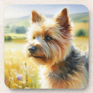 Norwich Terrier Beverage Coaster