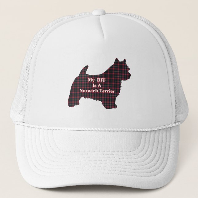 Norwich Terrier BFF Hat (Front)