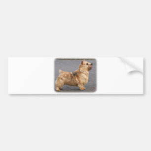 Norwich Terrier Bumper Sticker