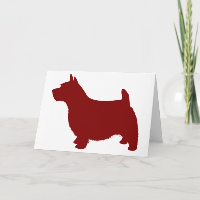 Norwich Terrier Card (Front)