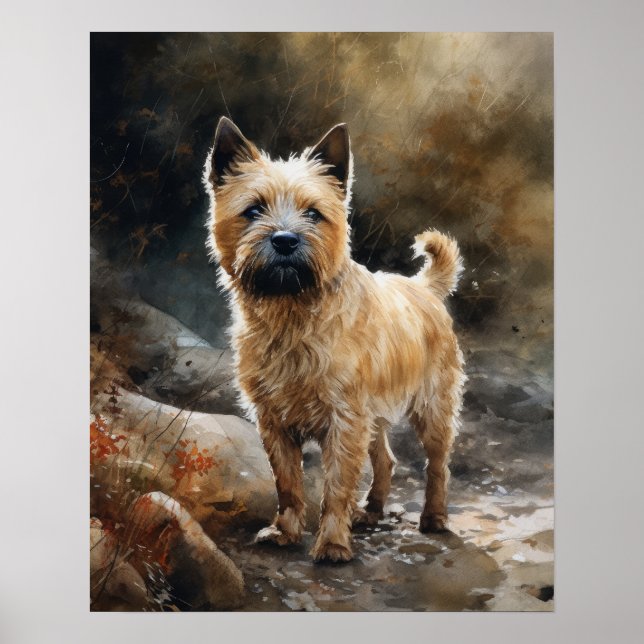 Norwich Terrier Dog Art Print Poster (Front)