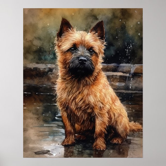 Norwich Terrier Dog Art Print Poster (Front)