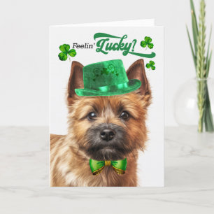 Norwich Terrier Dog Feelin' Lucky St Patrick's Day Holiday Card