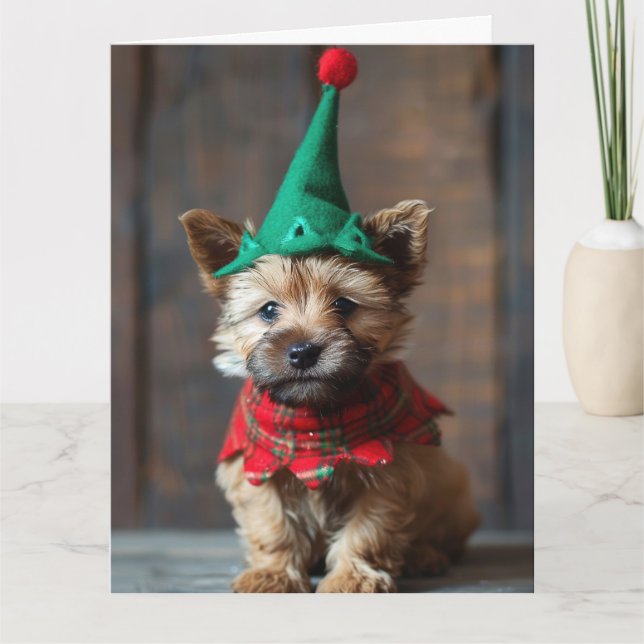 Norwich Terrier Elf Puppy Christmas Card  (Front)