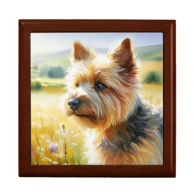 Norwich Terrier Gift Box (Front)